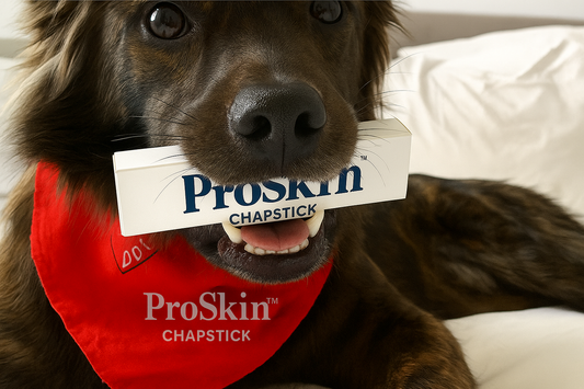 Taking care of man’s best friend.